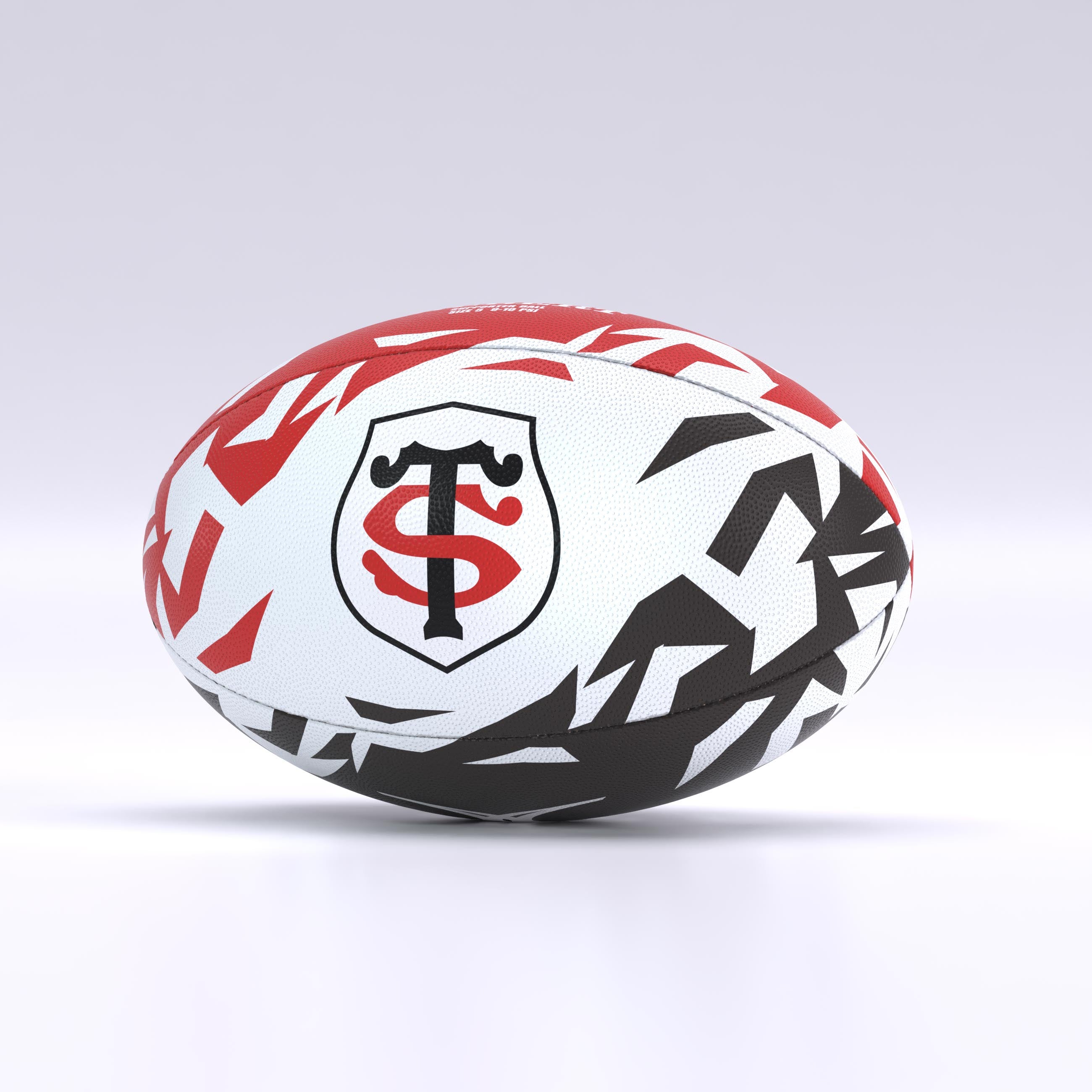 Argentina Supporter Ball